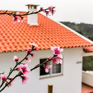 O Refúgio Coímbra